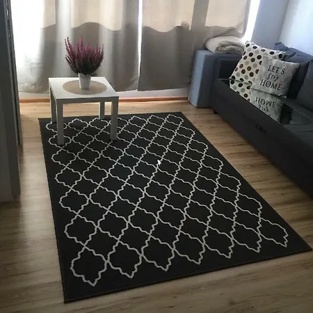 Appartement Kawalerka W Srodmiesciu Gdanska Gdańsk
